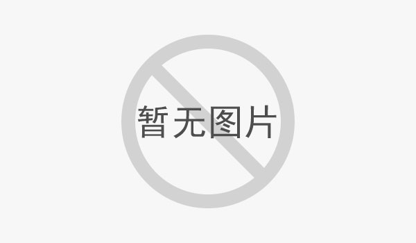 溫度過(guò)熱對(duì)廂式壓濾機(jī)的影響？